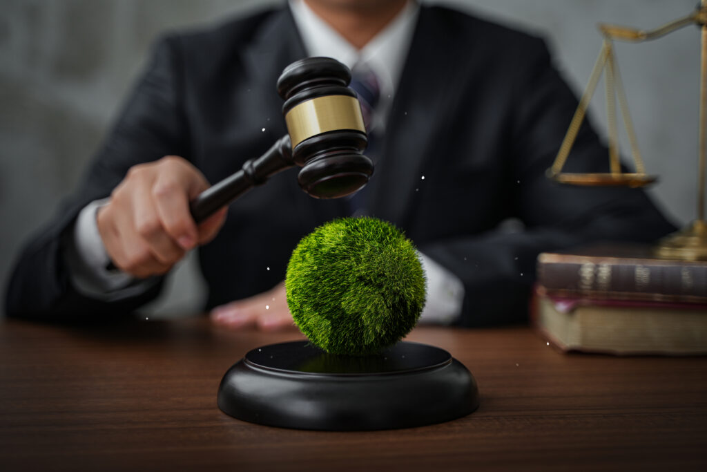 international law and environmental law. laws governing the global economy in line with sustainable environmental conservation principles. international law and environmental law. laws governing the global economy in line with sustainable environmental conservation principles.